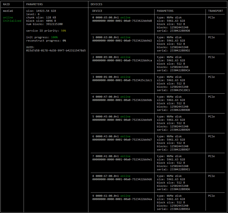 The output of the RAID configuration parameters